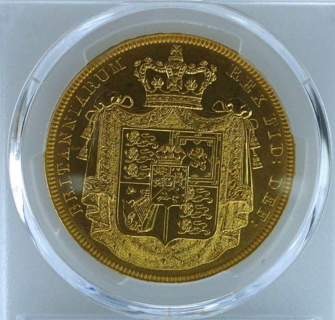 ダルマ コイン 評判 (99) 사진