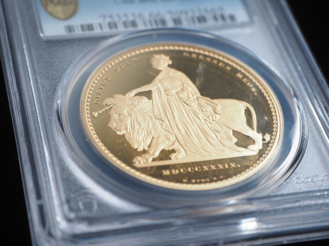 PCGS金貨ウナとライオンアップ斜め